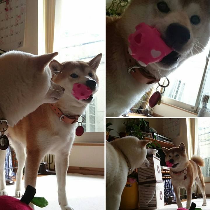 Aaabd216 4786 4157 9efb 3acd7d13744c