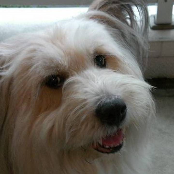 Aaabf3f2 37ef 4592 81f8 c85e13e96e83