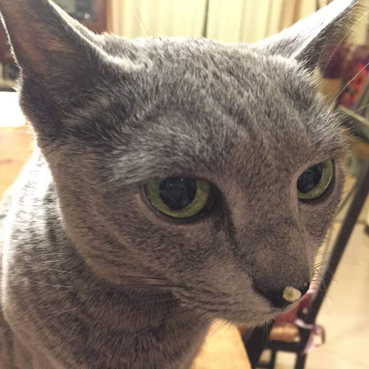 Aaac27fb 9bac 47e0 b14e 416f27d48438