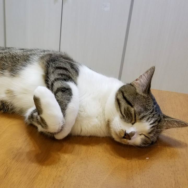 Aaac4af2 78d6 44c2 bea8 f75fe80fb279