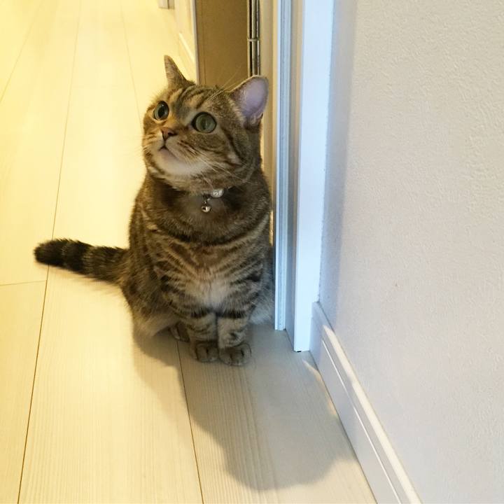 Aaad1bd6 f013 43db bf47 bf67b3c63802