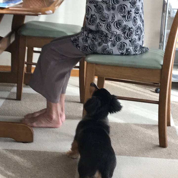 Aaadabd1 5c59 4802 b4f5 5b111a1d03a5