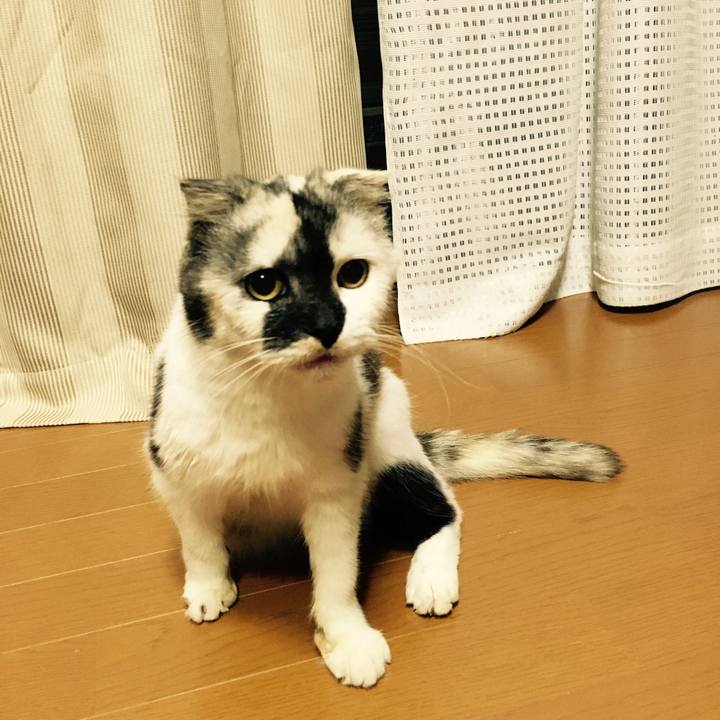 Aaae1e80 545a 4fcf b179 38f60f5b2b29