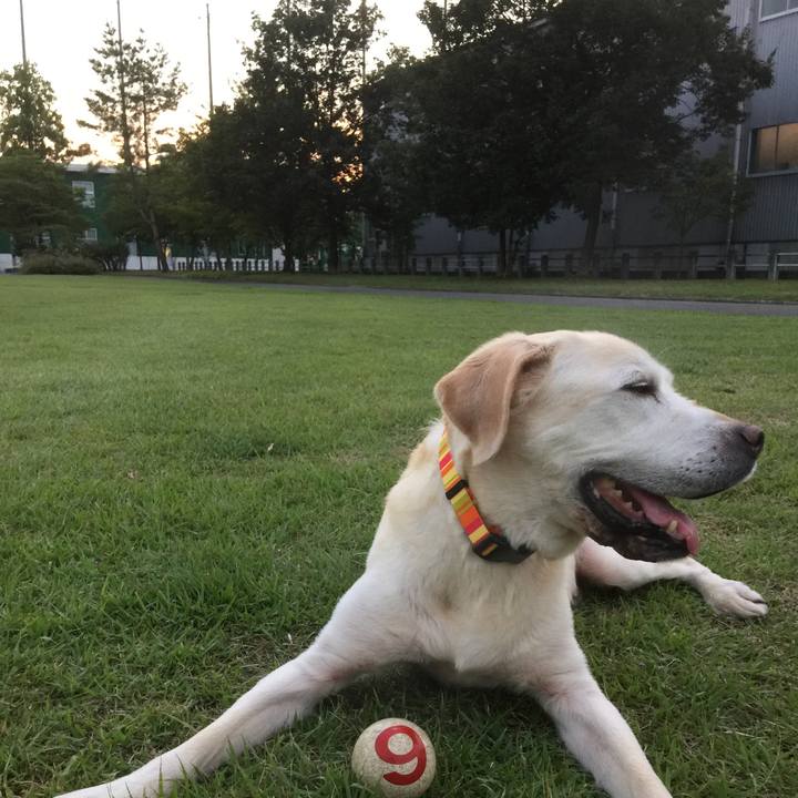 Aaaeca73 42b9 483e a47d 75bcbf756ed4