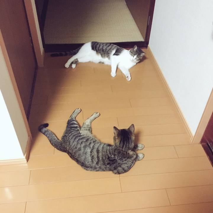 Aaaef78b 3994 4526 8389 3bb999b2ee83