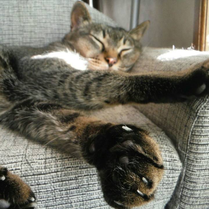 Aaaf3c45 3845 4ff9 b109 82957aa95c8f