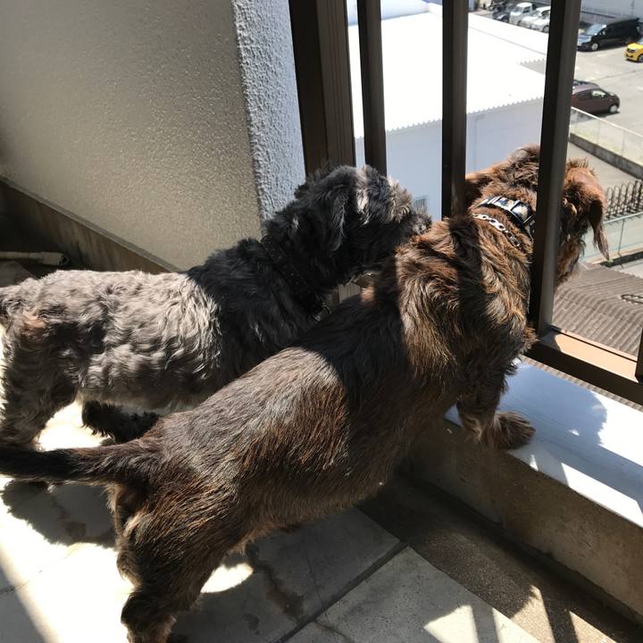 Aaafb6f9 bc06 4639 b909 b20d9ea2c34d