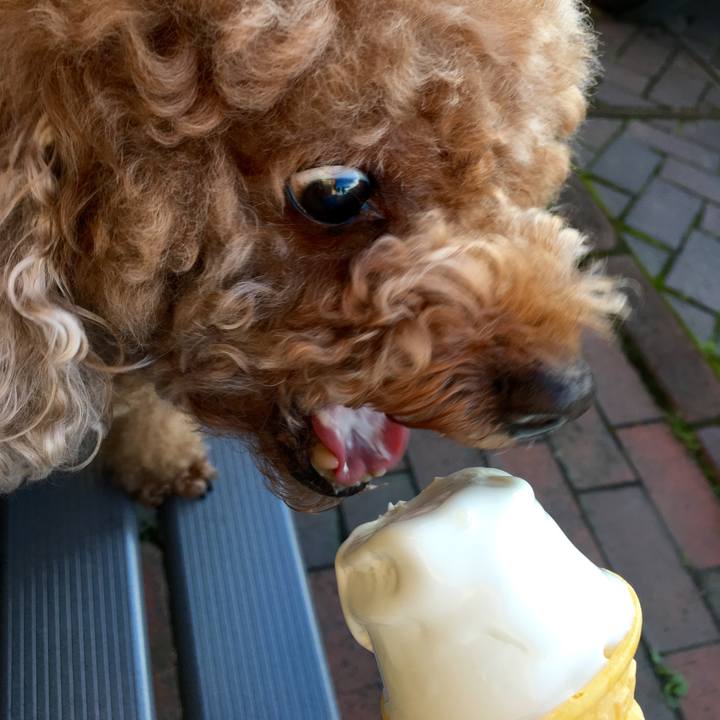 Aaaff754 0348 4083 88d4 658970e44d94