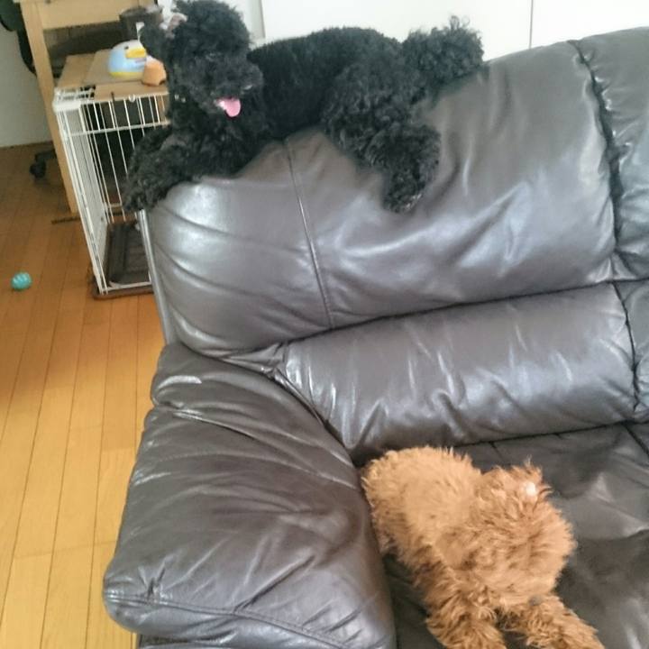 Aab01e14 0f92 4818 99e8 00926559bbf1