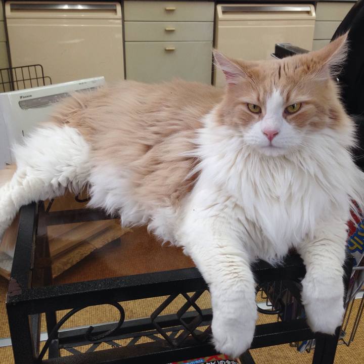 Aab0b054 9b13 446a 9809 7d5c4313faf3