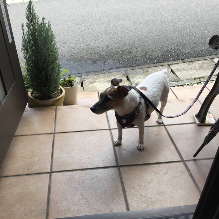 Aab122f7 9643 4718 9ada 96c38e375dd0