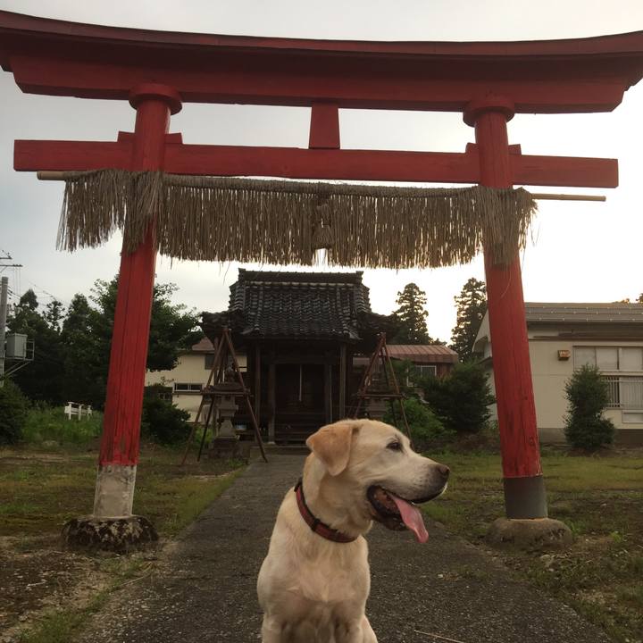 Aab13a7d 2fe4 487d 9338 bbfe3a6ff3c8