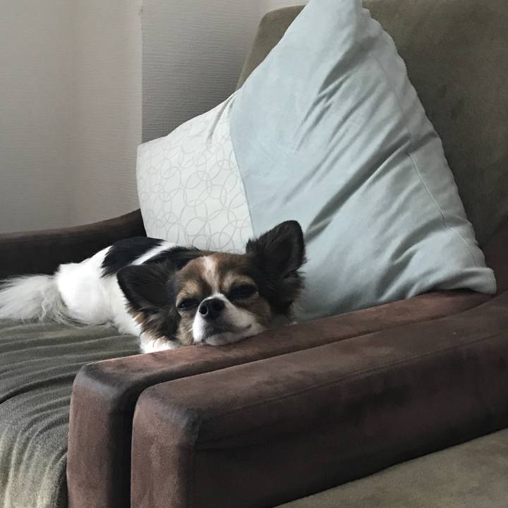 Aab153fe c44f 485e a7fd be1a19e37506