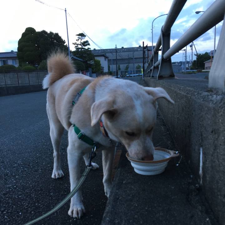 Aab16cf0 febf 430a 82f9 f1755f88e326