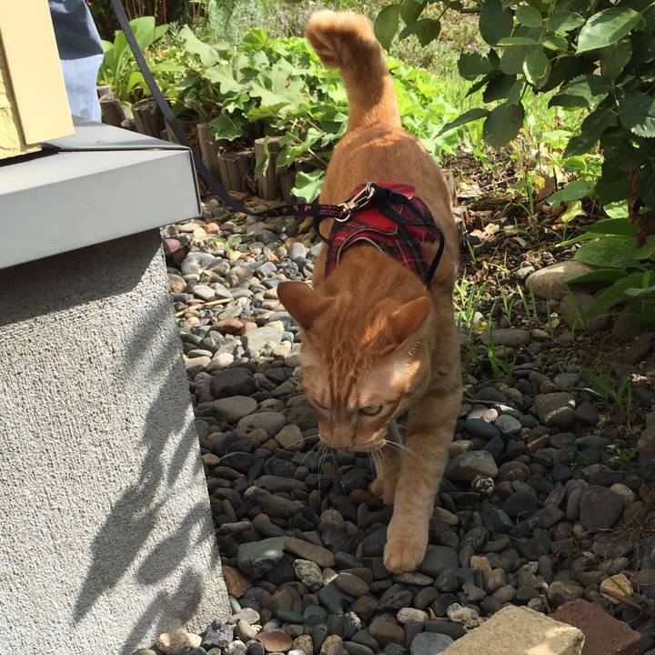 Aab1a242 e4b4 48c9 acd3 30626ed82ebd