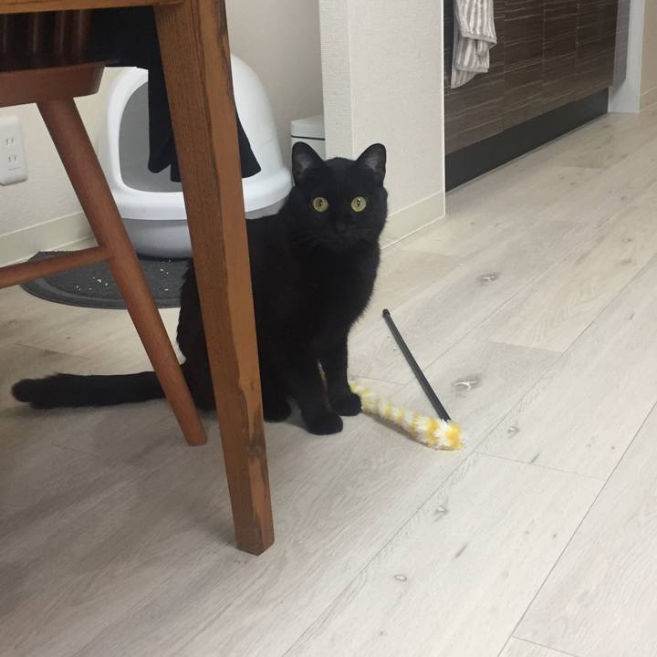 Aab1b08c 911d 4b10 88a3 0310f1828a7b