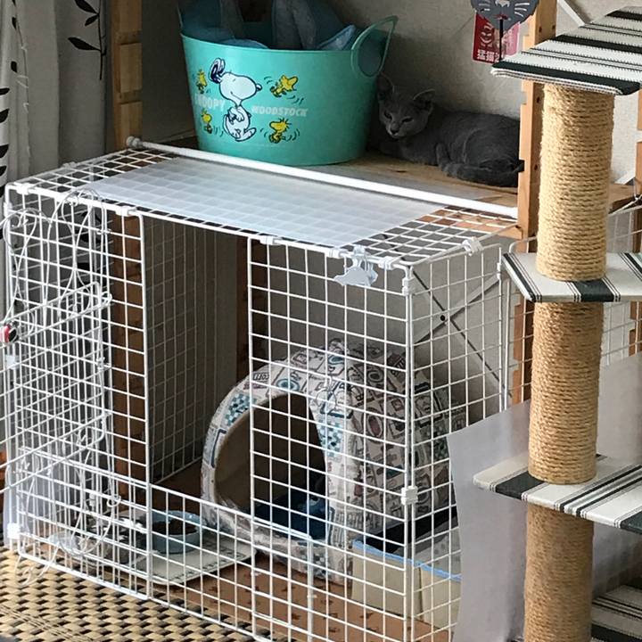 Aab1b578 8fd2 4503 bd69 2ed3dfb30461