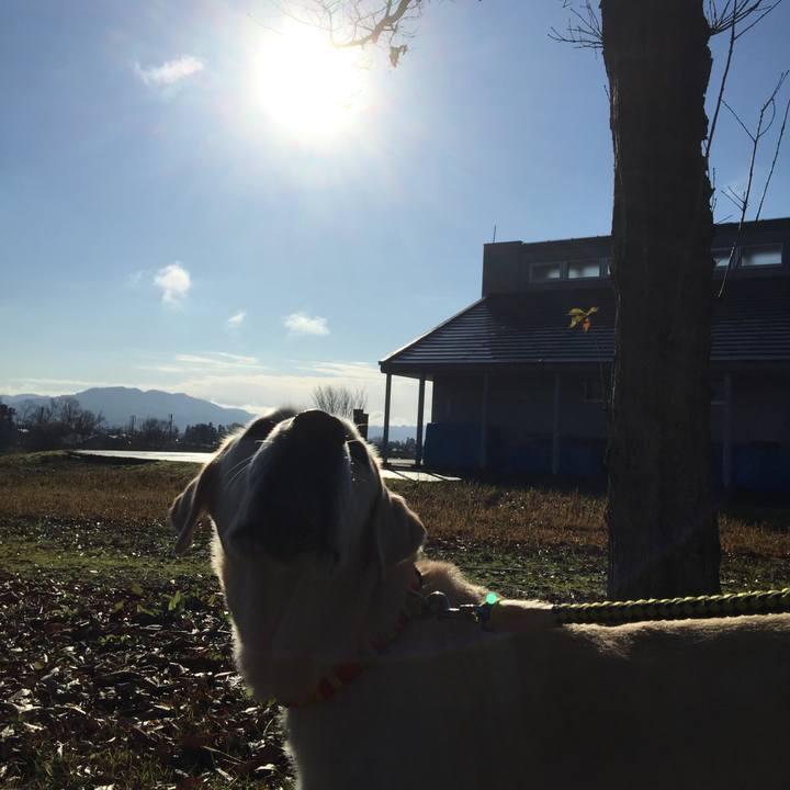 Aab1d32a 4ab6 4913 9717 776afcfabfac