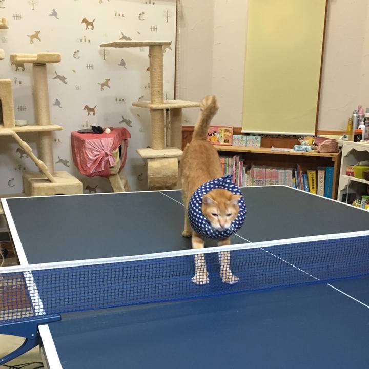 Aab20335 b921 4477 8665 2af6e155316a