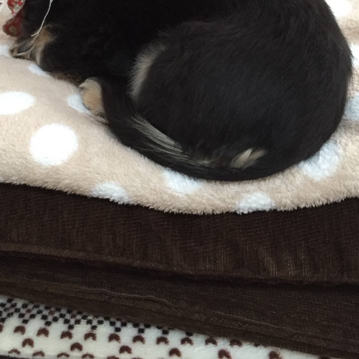 Aab2a39e 0386 4dcd 8780 6e6855c9100e