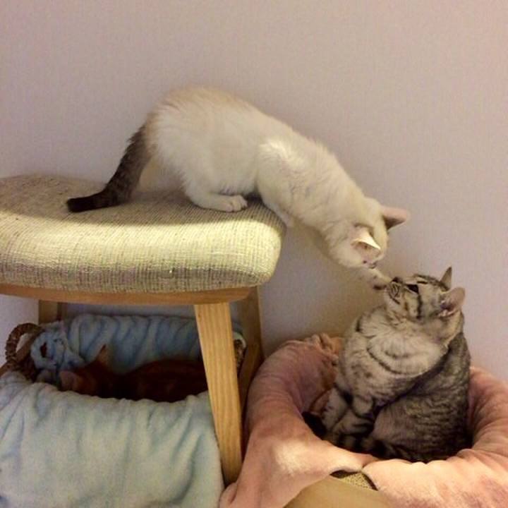 Aab36770 24f9 4e84 9e5a b76438a61ca8