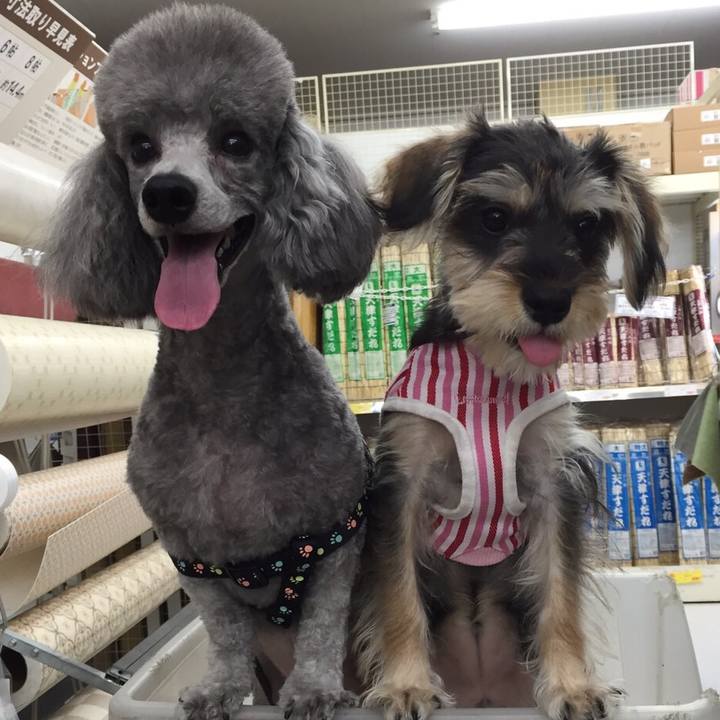 Aab417b8 5b64 4af5 8e0c a191c01155dd