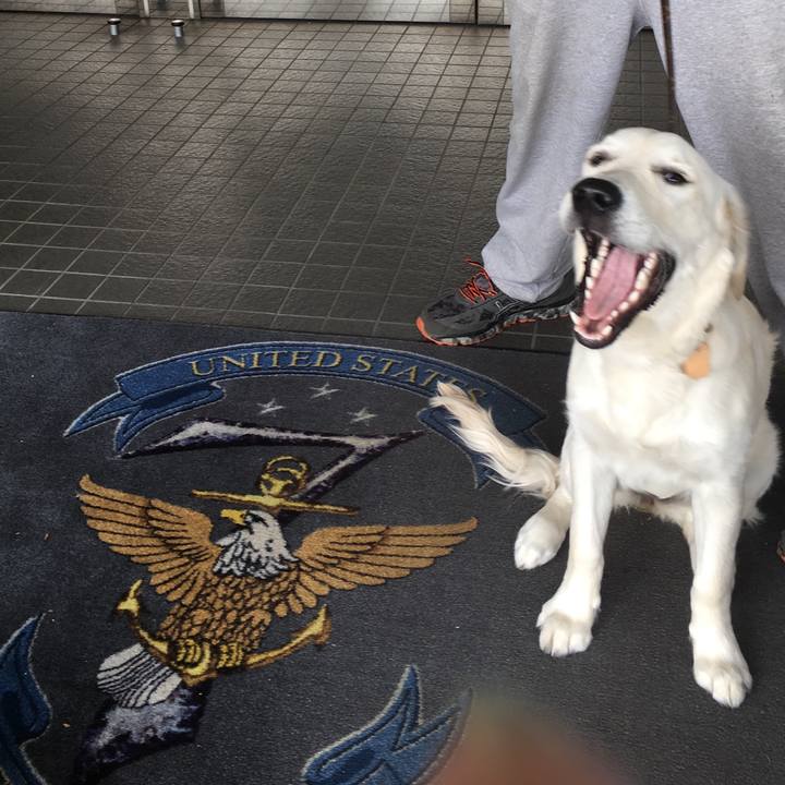 Aab48d4b f5d2 4bdc 93a4 f6ef88cb3225