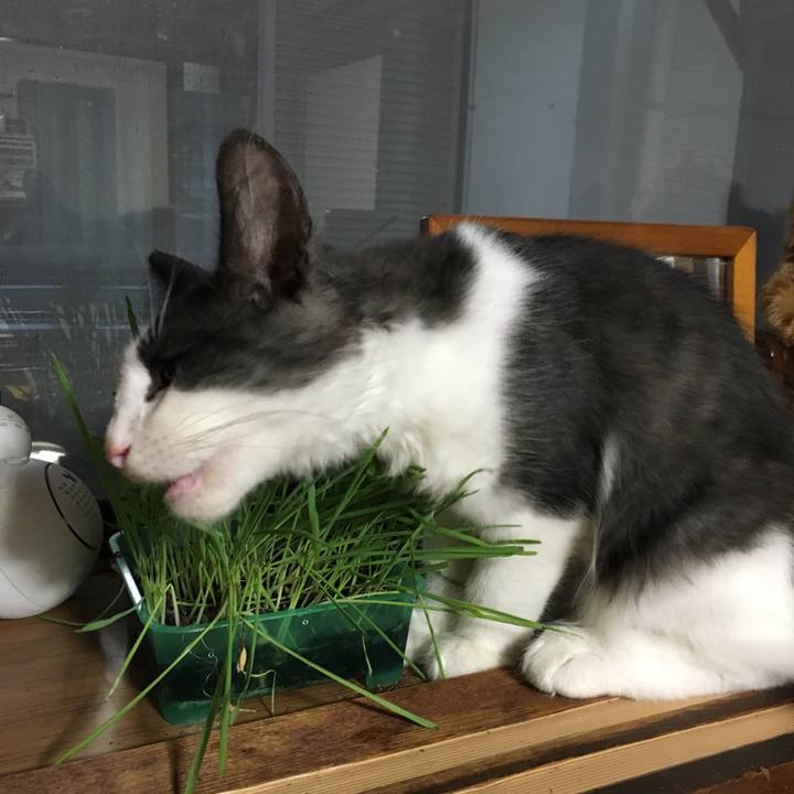 Aab500d3 6011 40b7 982c 3137e2b73644