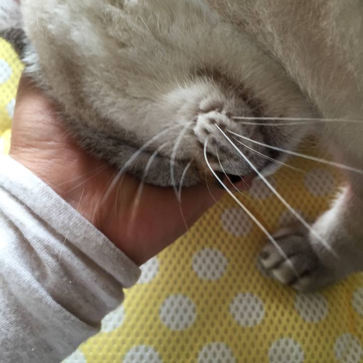 Aab506db a12b 4043 88fd df17de3513d2