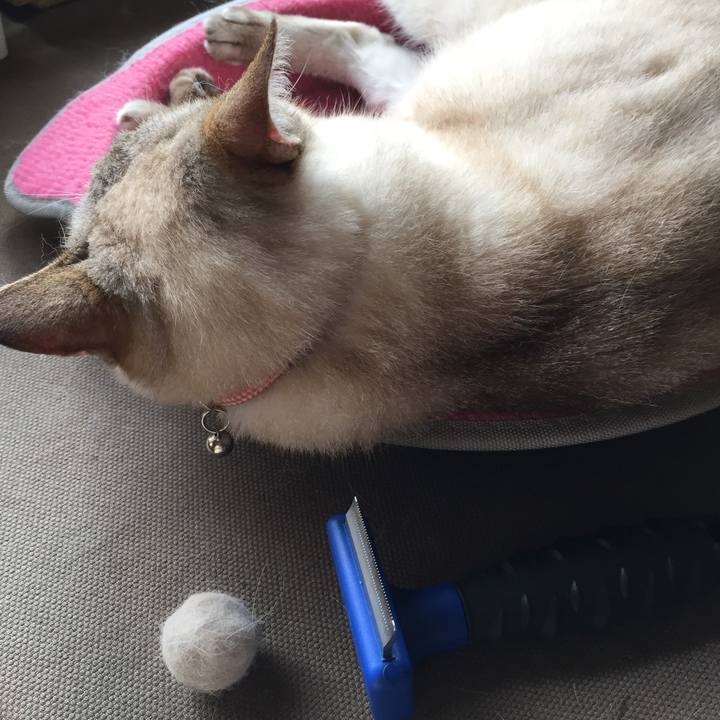 Aab56351 c9c2 4ce9 b9ab ed7287f55b3f