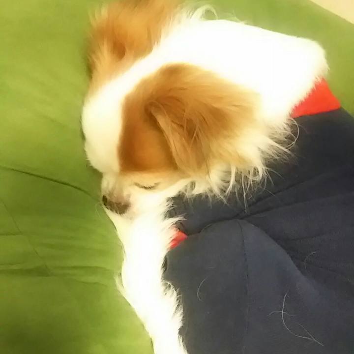 Aab578b7 5a00 4f46 a0db 4d0f82b57af8