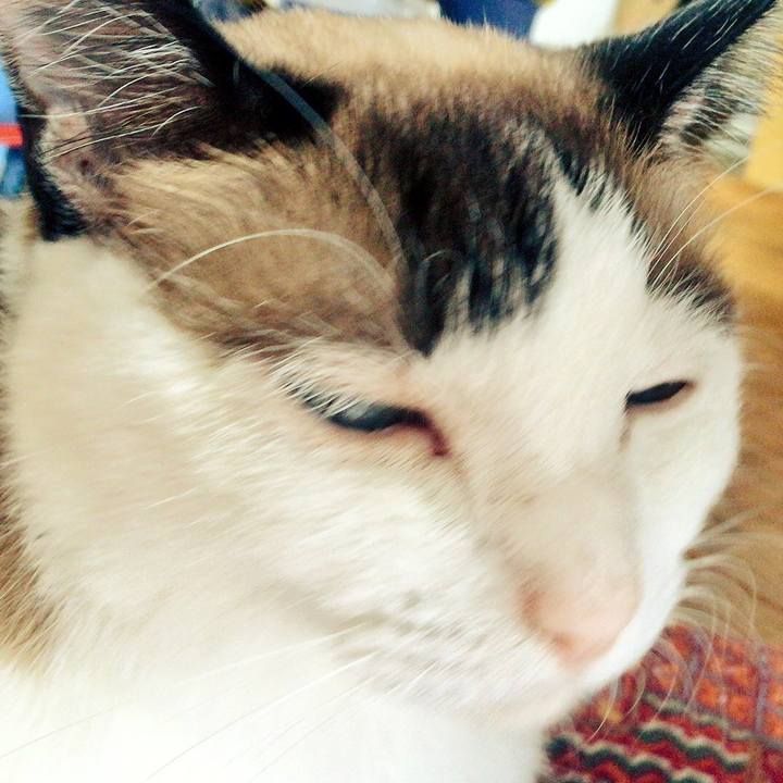 Aab57f21 23db 48cf 93c9 8e10f5544817