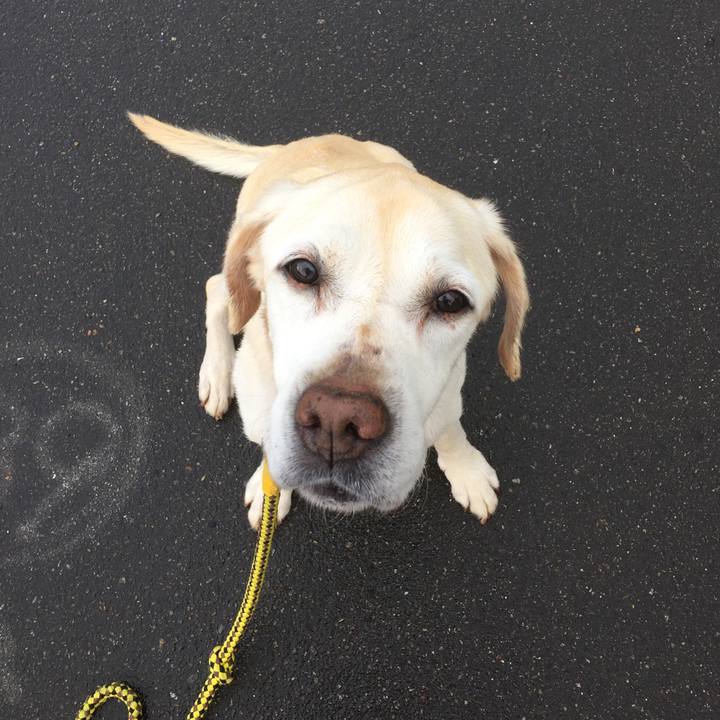 Aab61ed2 e747 4067 bc4d 688a6adf25ef