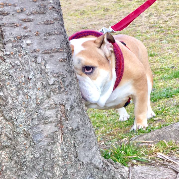 Aab63cc3 85f9 427e 8116 00873dd757bf