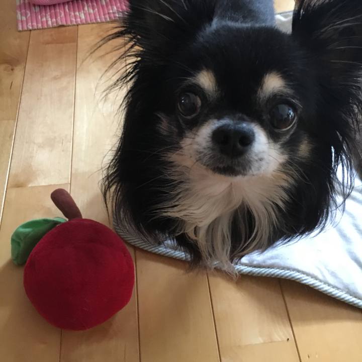 Aab66f03 62fe 4c9a 9750 96022c1cb811