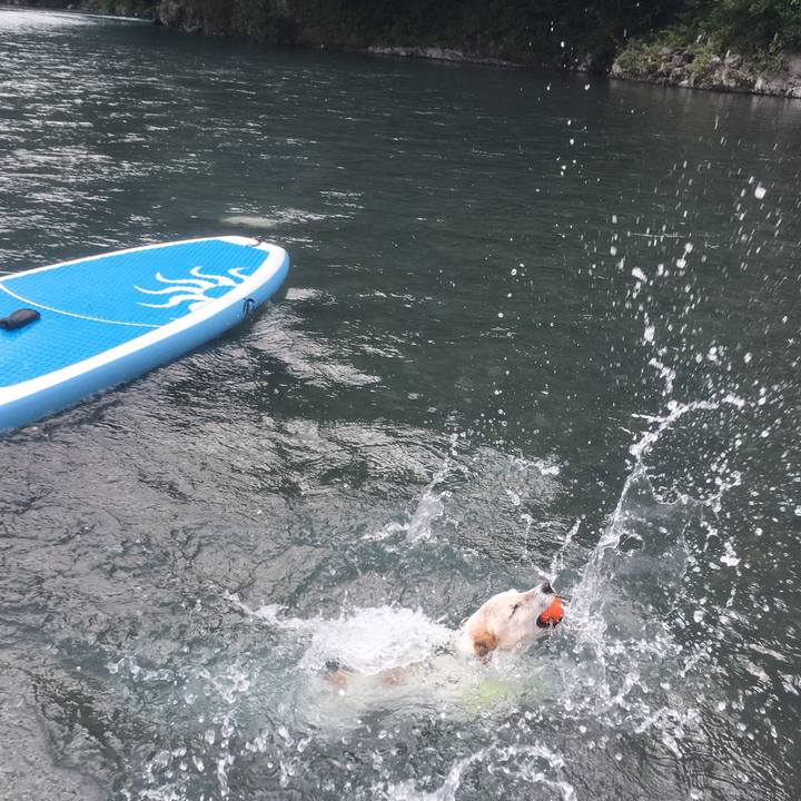 Aab6cead 204b 4529 a015 6b3b616dfbd2