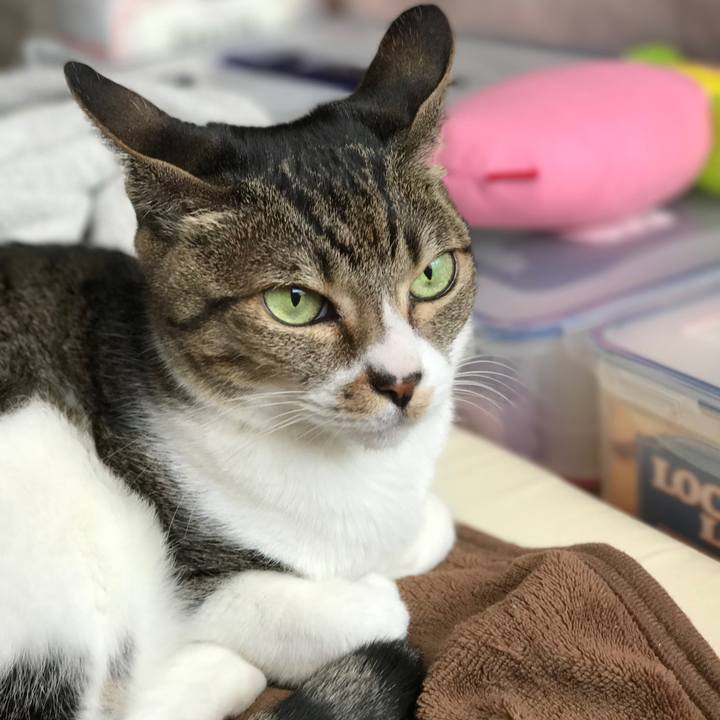 Aab6ec1f bbb8 49e0 bcf6 063c806fc4ae