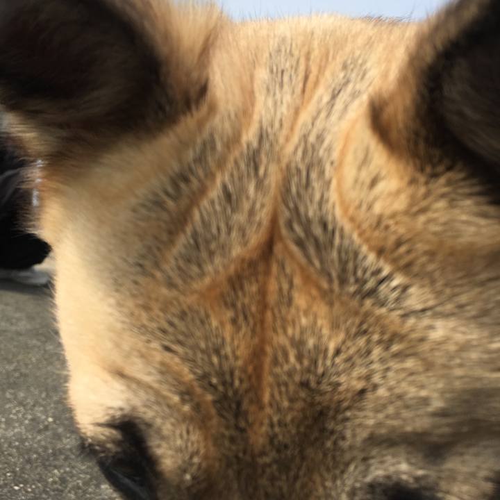 Aab70297 a076 472d 8757 814e0ee268e5