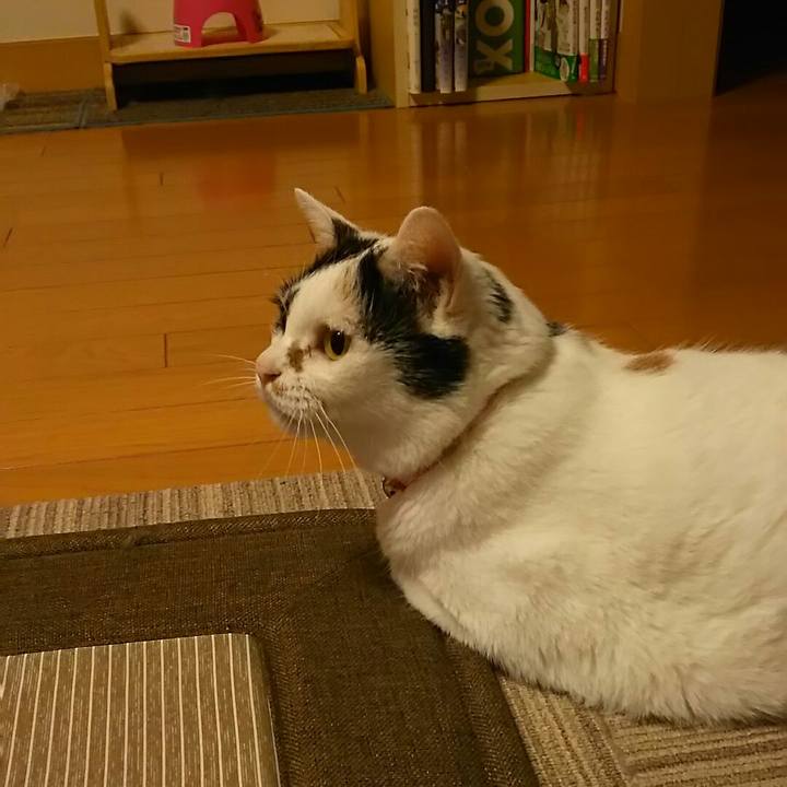 Aab71e0e 988c 469d 921c 5f1e995b91b9