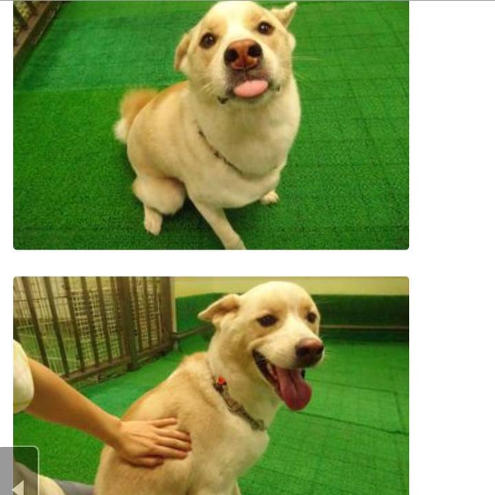 Aab761ac 96bd 48e2 8f17 fe26cf30c106