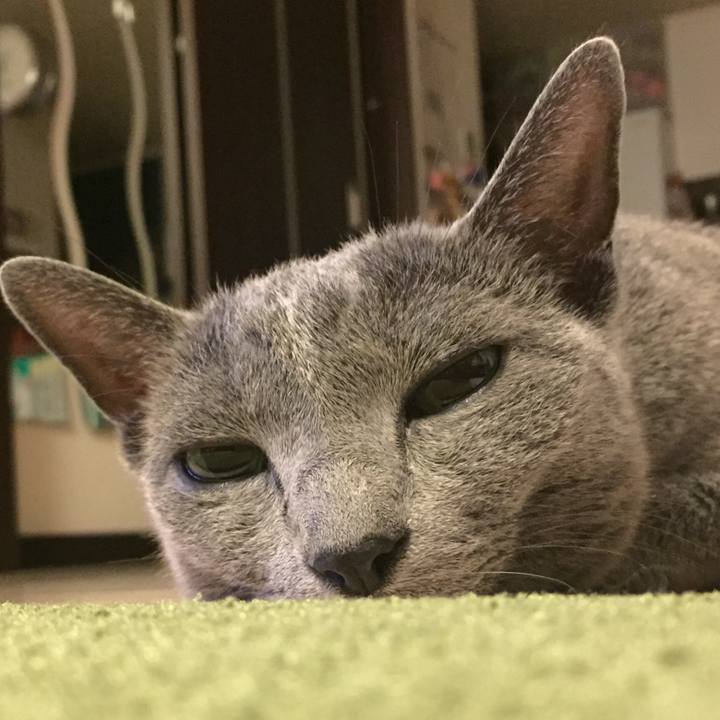 Aab77768 1f39 4812 a164 7b24d8d99717