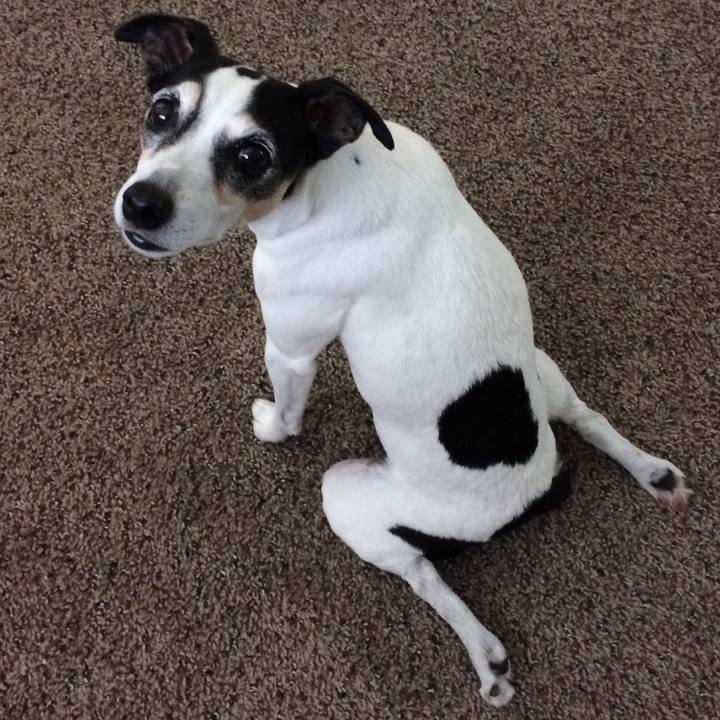 Aab7b087 6a22 4c16 ad3a fee5b973deeb