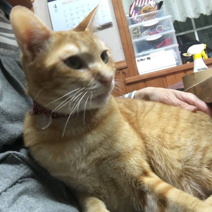 Aab7da1f 6355 40b6 8d5d 7c9d1d7a5a22