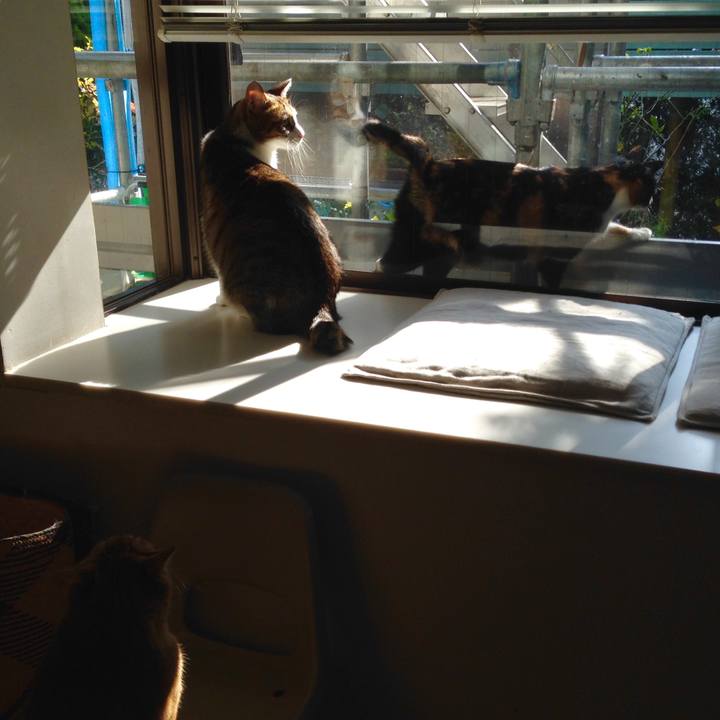 Aab8b788 8e8a 4903 b009 01ff8754f03d