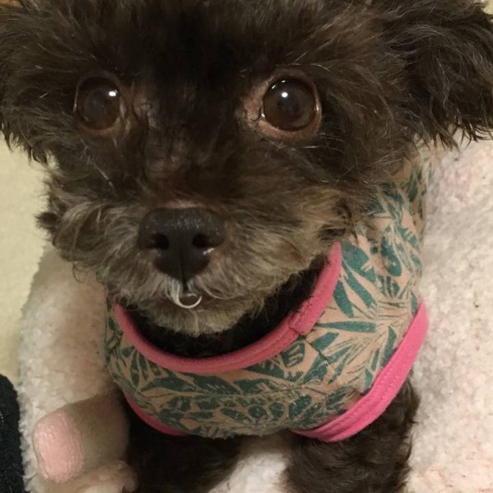 Aaba80d6 c4a9 4244 a72a abc2cbbcf771