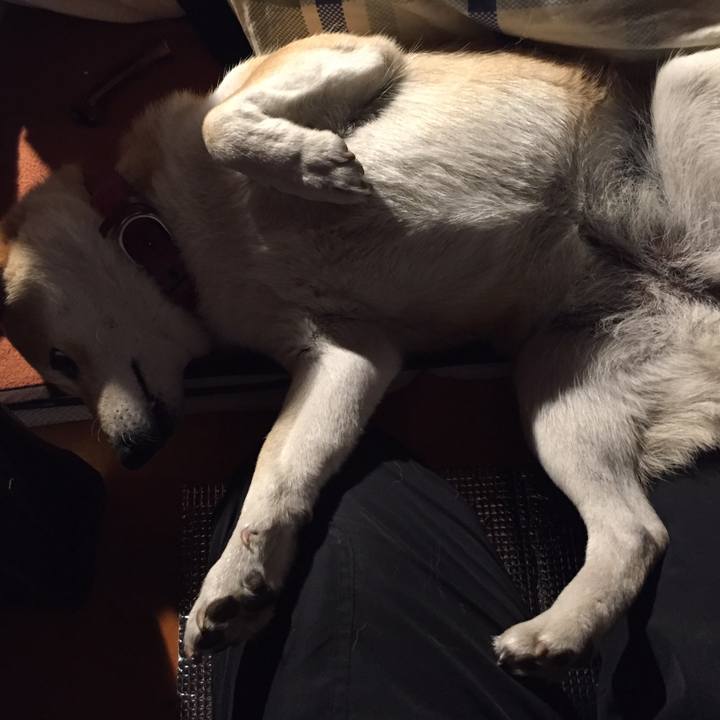 Aabaa2bd 70da 459f 8b8f 0cfd8336446e