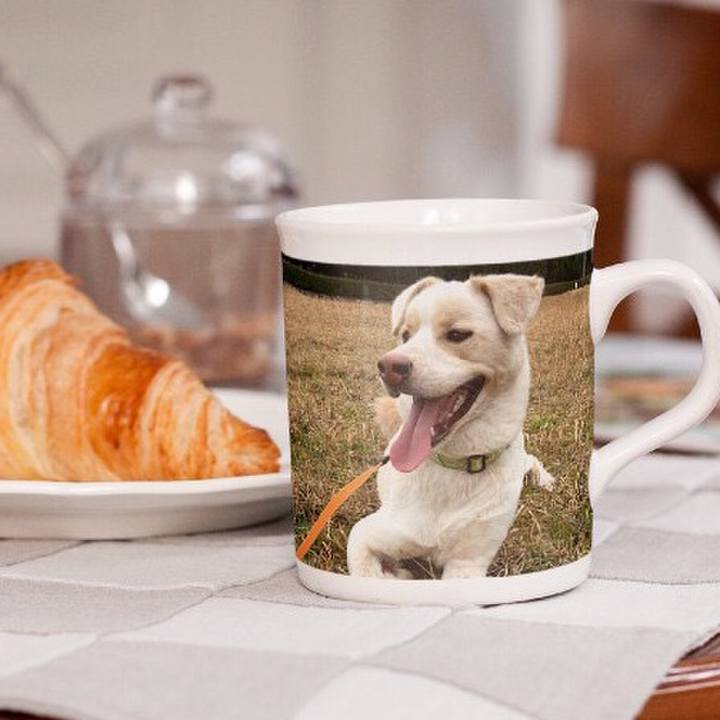 Aabb58d8 7224 48bd 8791 06cea044e62d