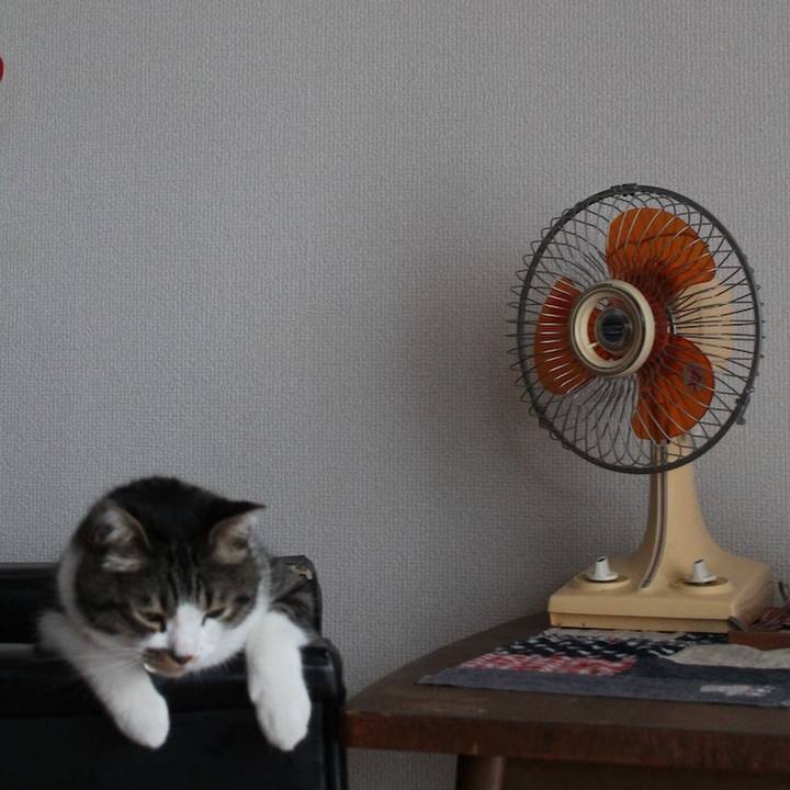 Aabb75f0 13c4 4af5 bffd ba3b17a3c04d