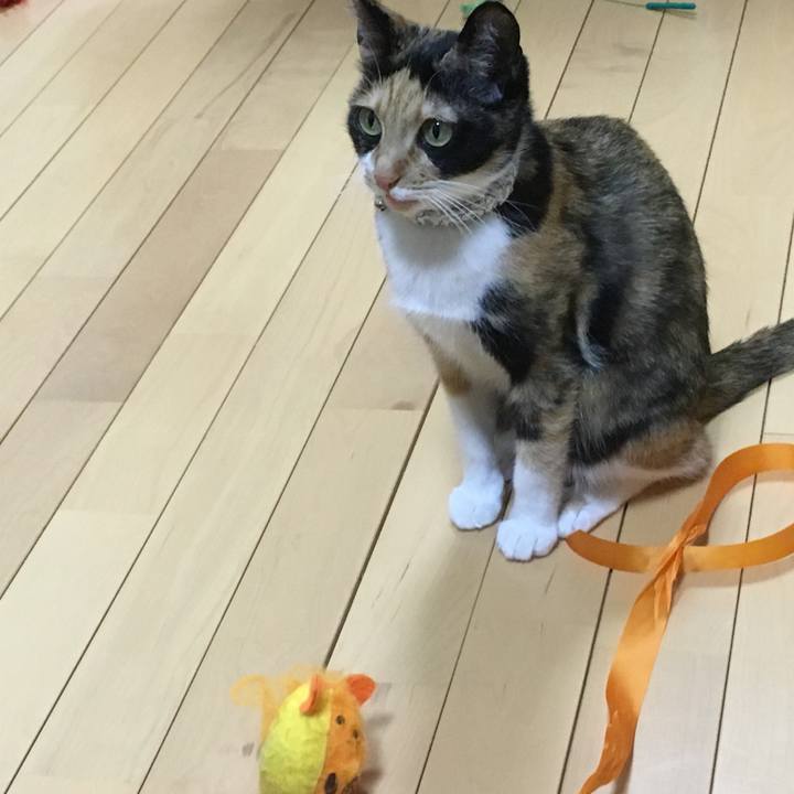 Aabbbf58 c6ba 4d62 b3b9 d4f106ad82ce