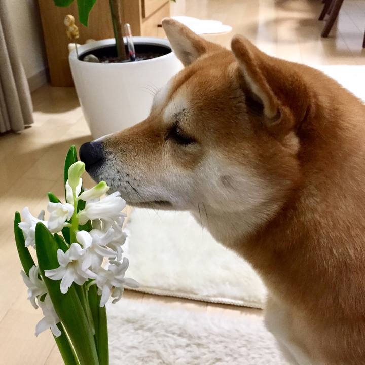 Aabbd565 36cd 412f bfb9 f3825758b8bf